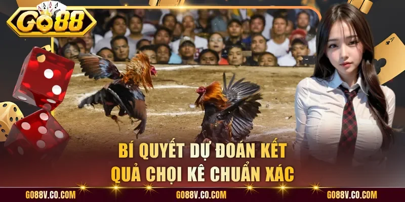 Bí quyết dự đoán kết quả chọi kê chuẩn xác