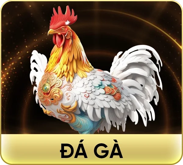 Đá Gà Go88