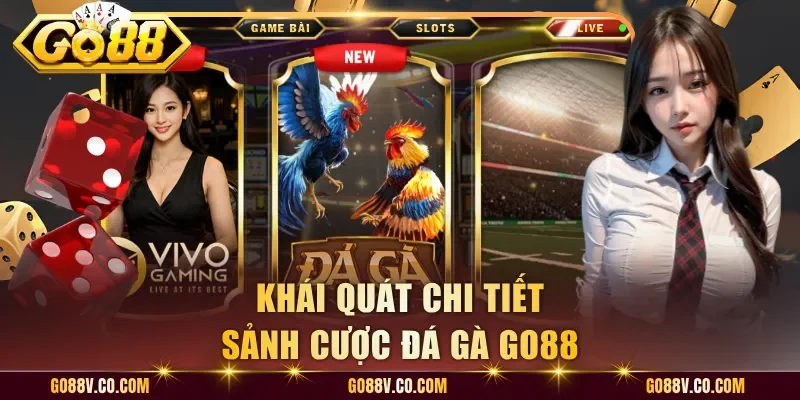 Khái quát chi tiết sảnh cược đá gà Go88