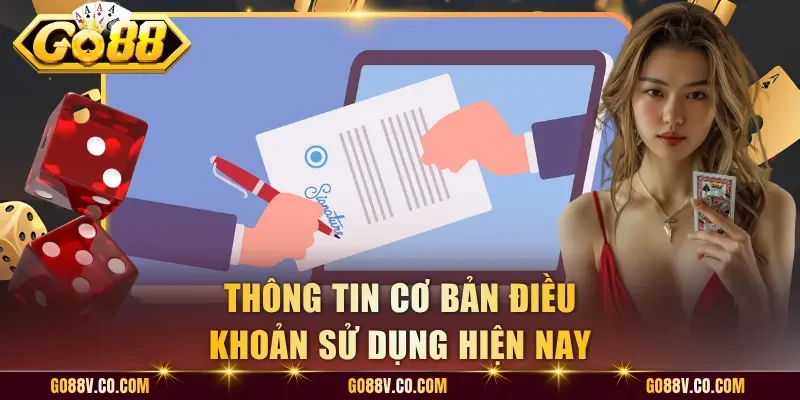Thông tin cơ bản điều khoản sử dụng hiện nay