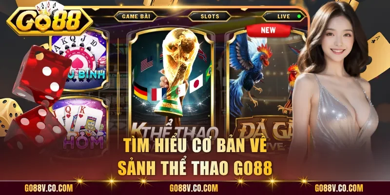 Tìm hiểu cơ bản về sảnh thể thao Go88